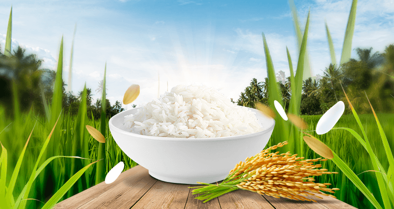 Các Chiêu Trò Làm Giả Gạo ST25 & Cách Nhận Biết
